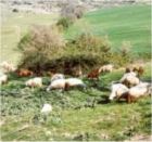 Visita all'Azienda Agricola